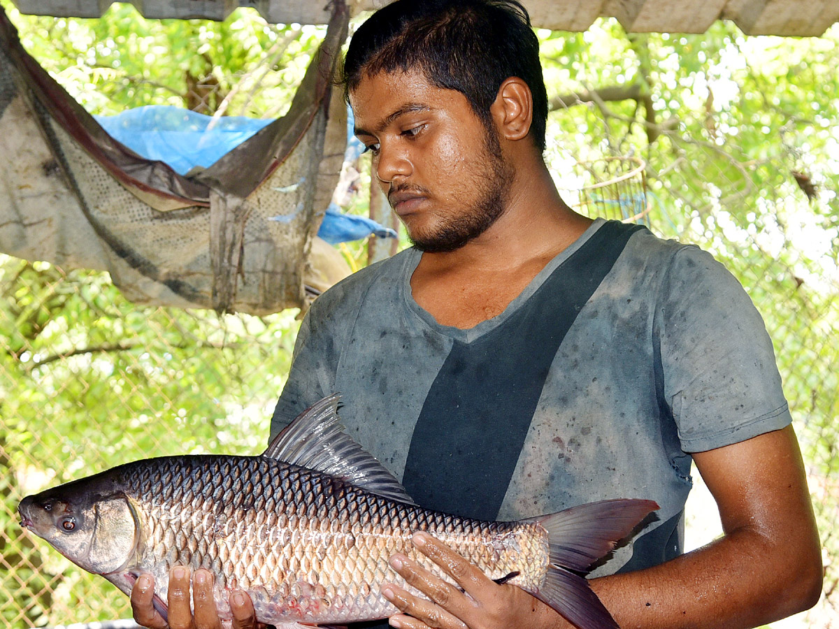 Mrigasira Karthi 2022 - Sakshi12