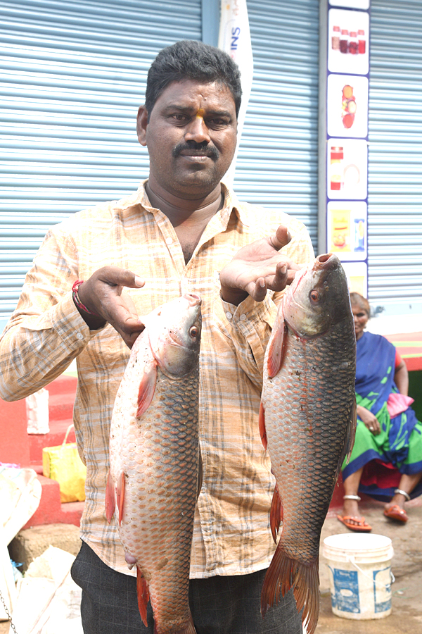 Mrigasira Karthi 2022 - Sakshi24