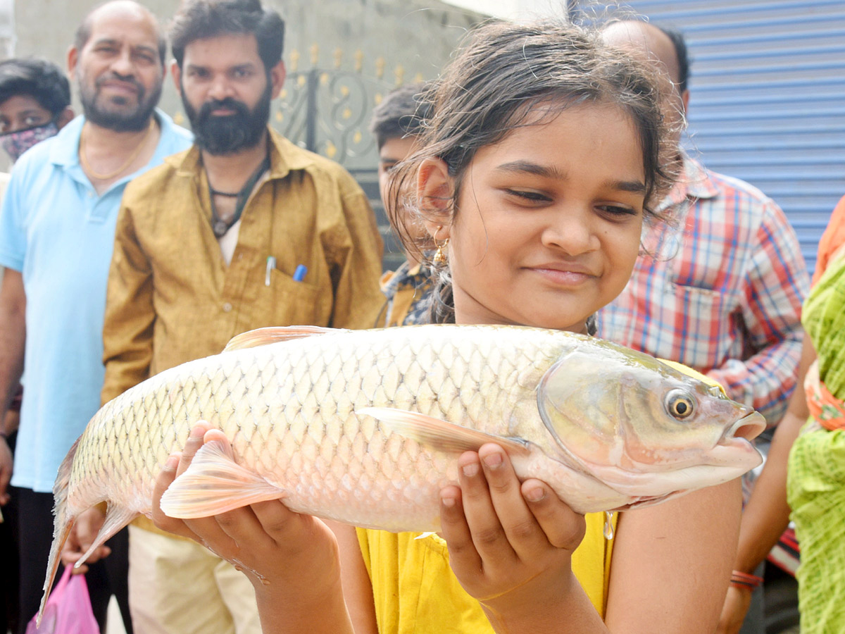 Mrigasira Karthi 2022 - Sakshi3