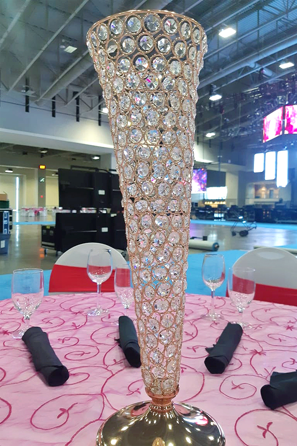 ATA Celebrations 2022 At Washington Convention Center - Sakshi14