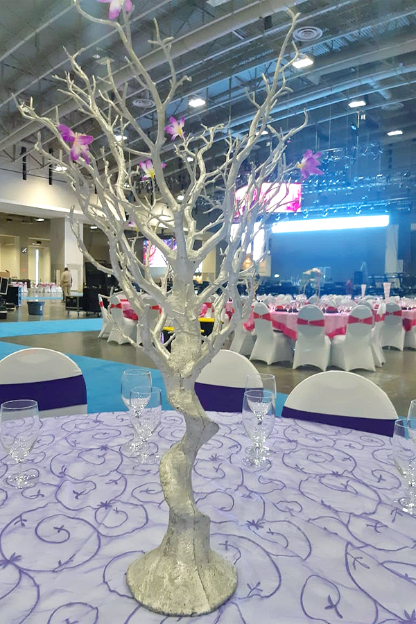 ATA Celebrations 2022 At Washington Convention Center - Sakshi19