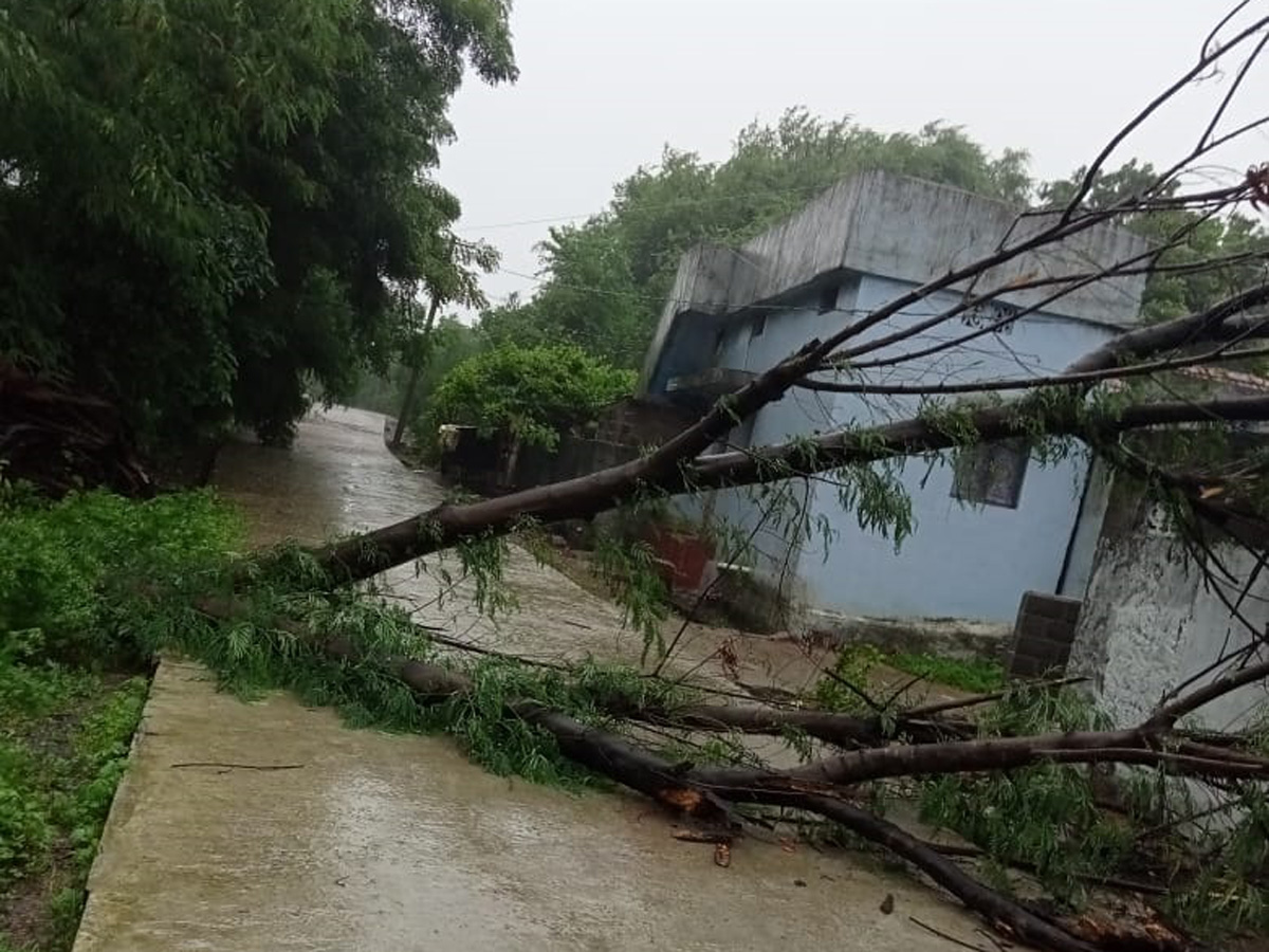 Heavy rains in Telangana Photo Gallery - Sakshi10
