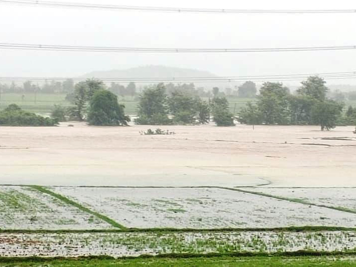 Heavy rains in Telangana Photo Gallery - Sakshi13