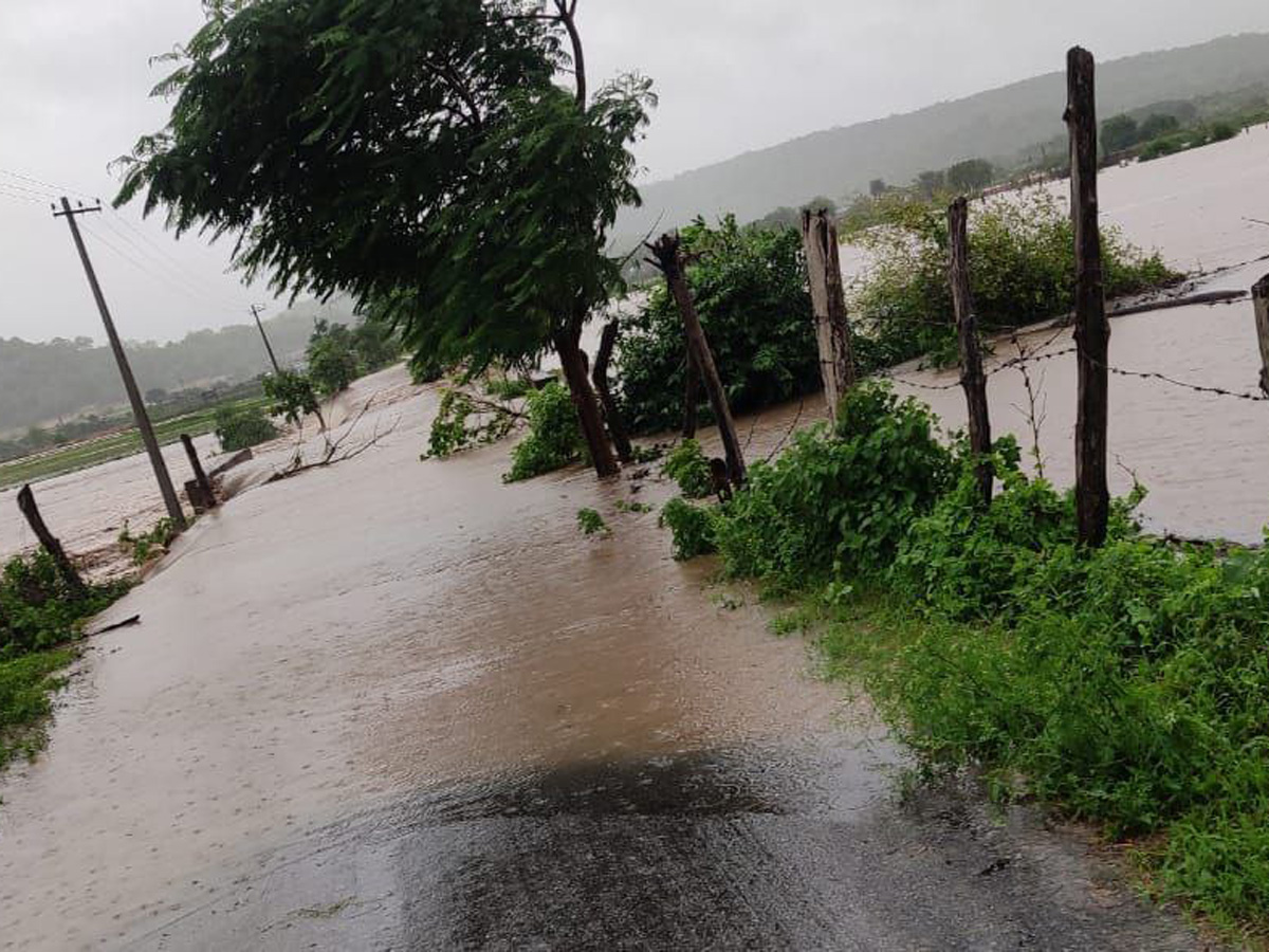 Heavy rains in Telangana Photo Gallery - Sakshi15