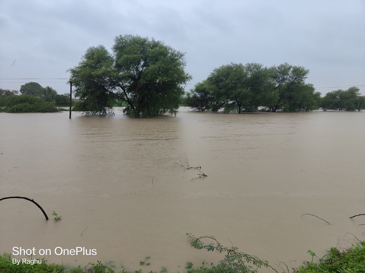 Heavy rains in Telangana Photo Gallery - Sakshi20