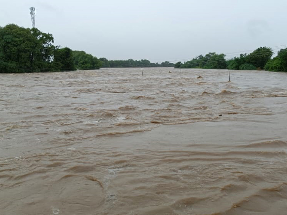 Heavy rains in Telangana Photo Gallery - Sakshi3
