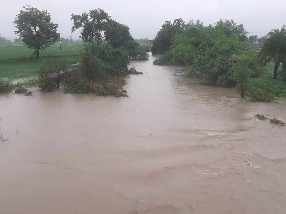 Heavy rains in Telangana Photo Gallery - Sakshi39