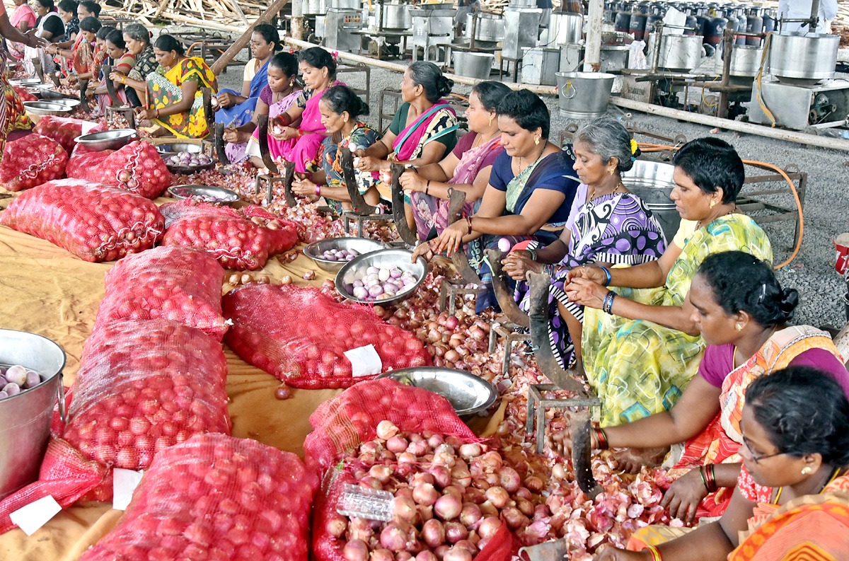 Grand Arrangements For YSRCP Plenary Meeting - Sakshi35