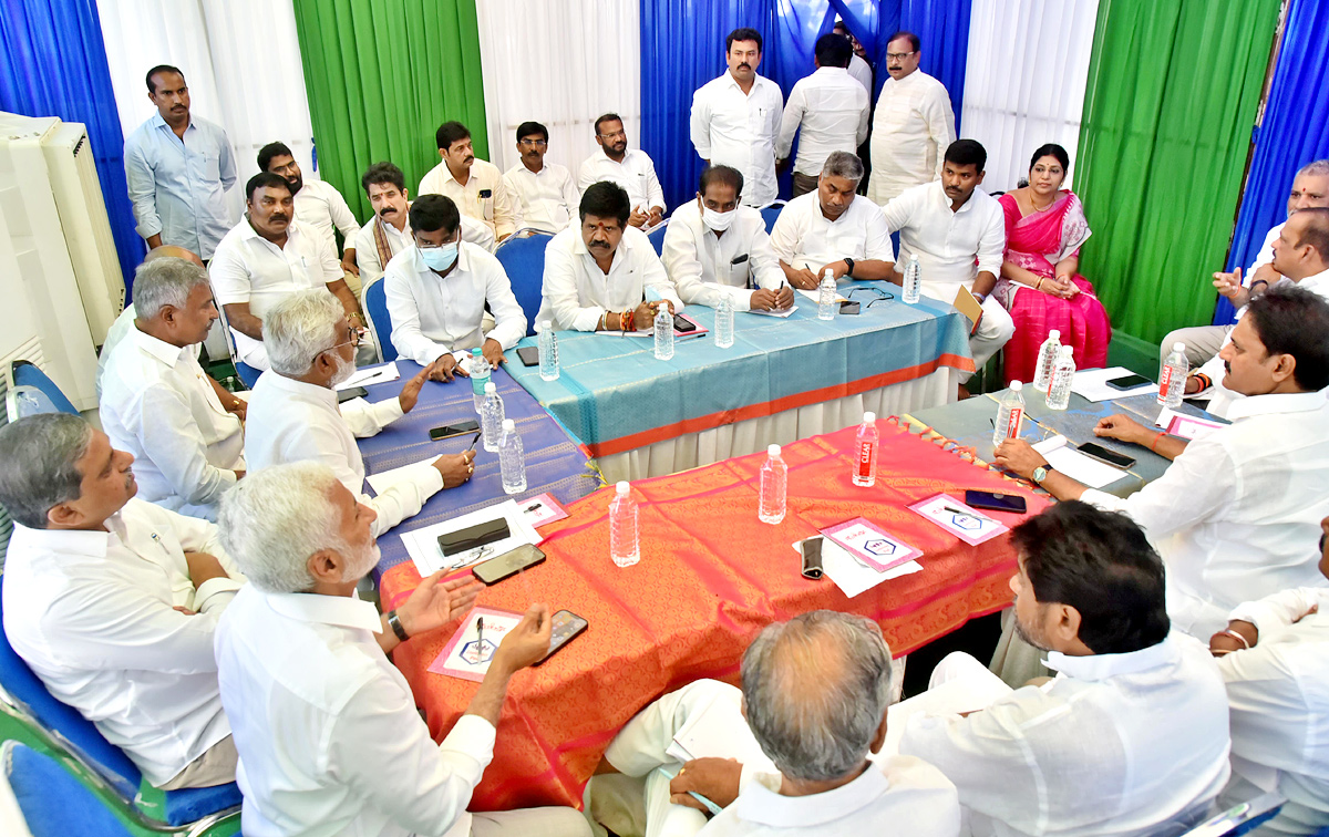 Grand Arrangements For YSRCP Plenary Meeting - Sakshi2