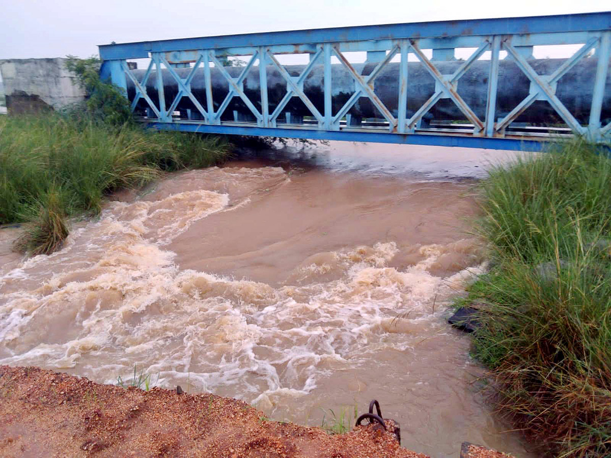 Heavy Rains In Telugu States - Sakshi4
