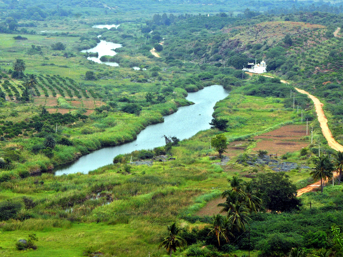 Best Photos of The Week in AP and Telangana Photo Gallery - Sakshi4