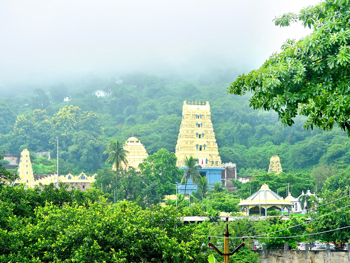 Best Photos of The Week in AP and Telangana Photo Gallery - Sakshi40