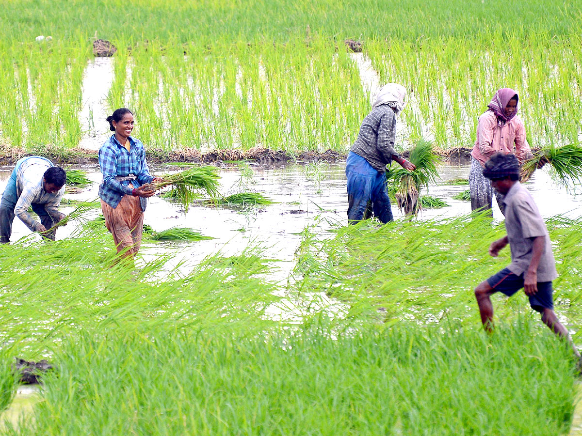 Best Photos of The Week in AP and Telangana Photo Gallery - Sakshi50