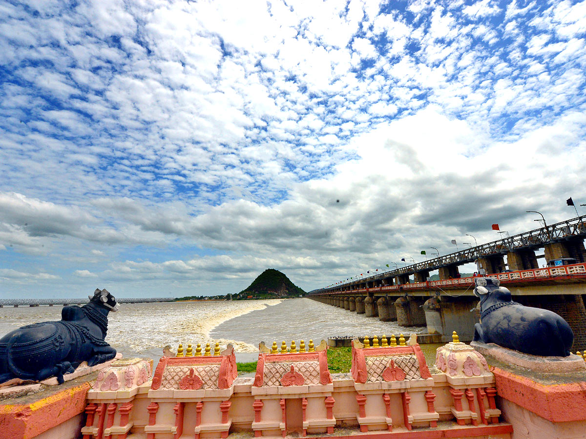 Best Photos of The Week in AP and Telangana Photo Gallery - Sakshi55