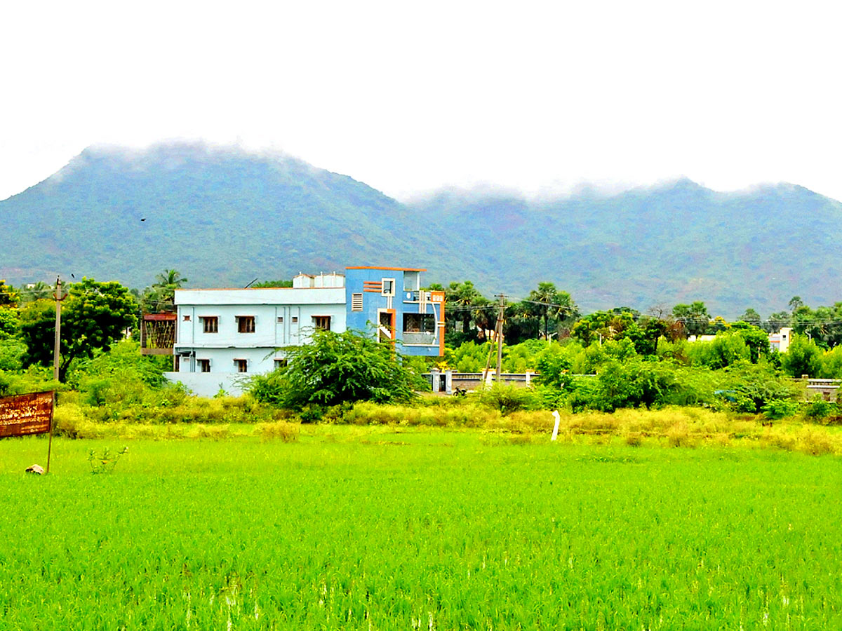 Best Photos of The Week in AP and Telangana Photo Gallery - Sakshi67
