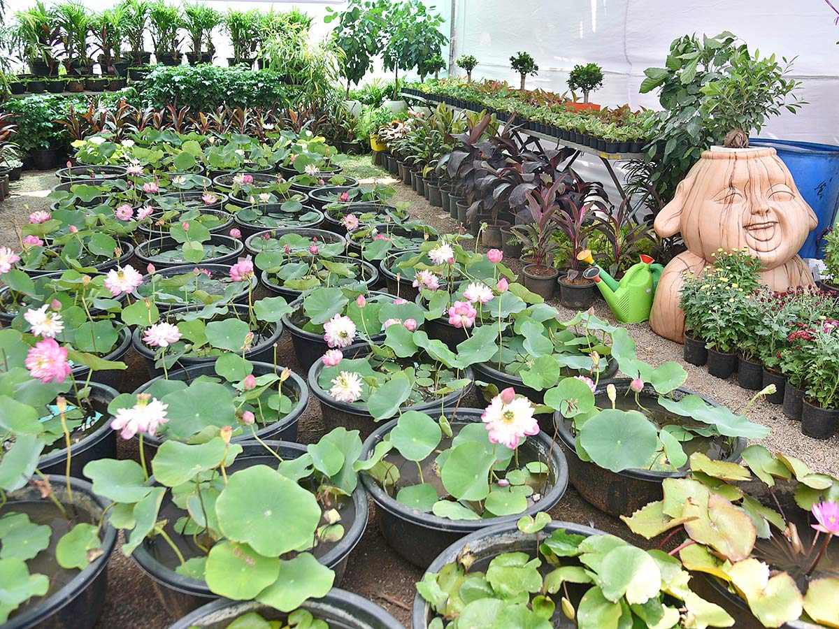 12th Grand Nursery Mela Inaugurated By Minister Harish Rao - Sakshi9