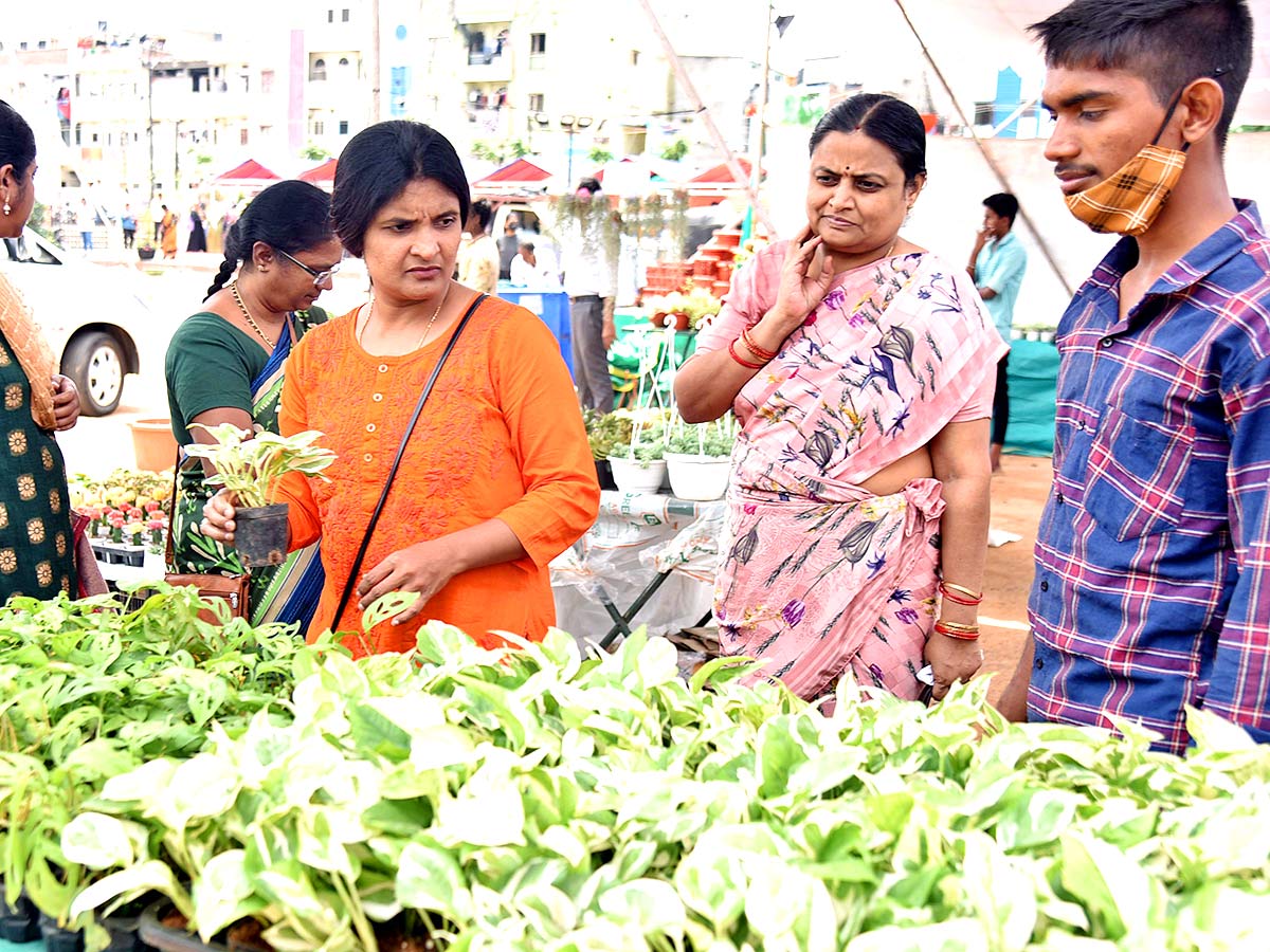 12th Grand Nursery Mela Inaugurated By Minister Harish Rao - Sakshi24