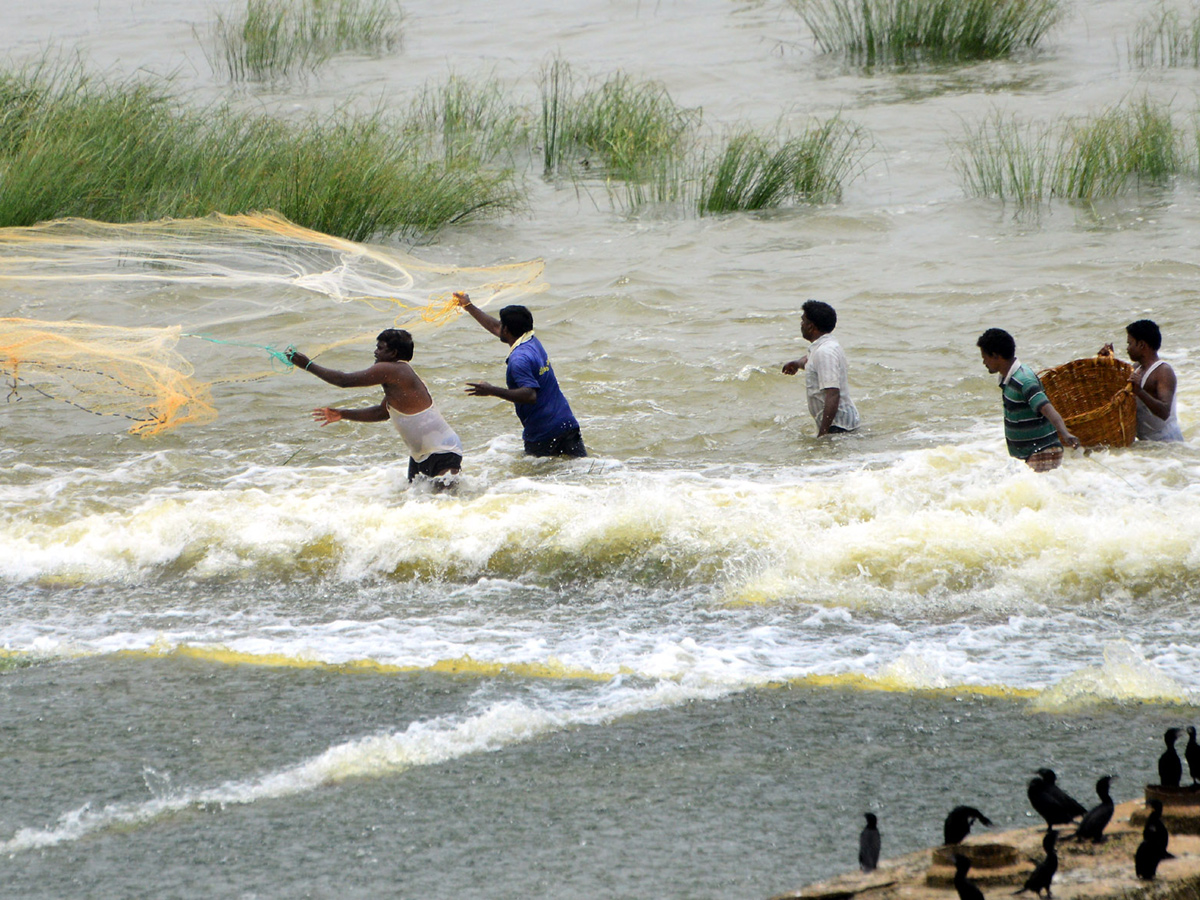 Best Photos of The Week in AP and Telangana Photo Gallery - Sakshi12