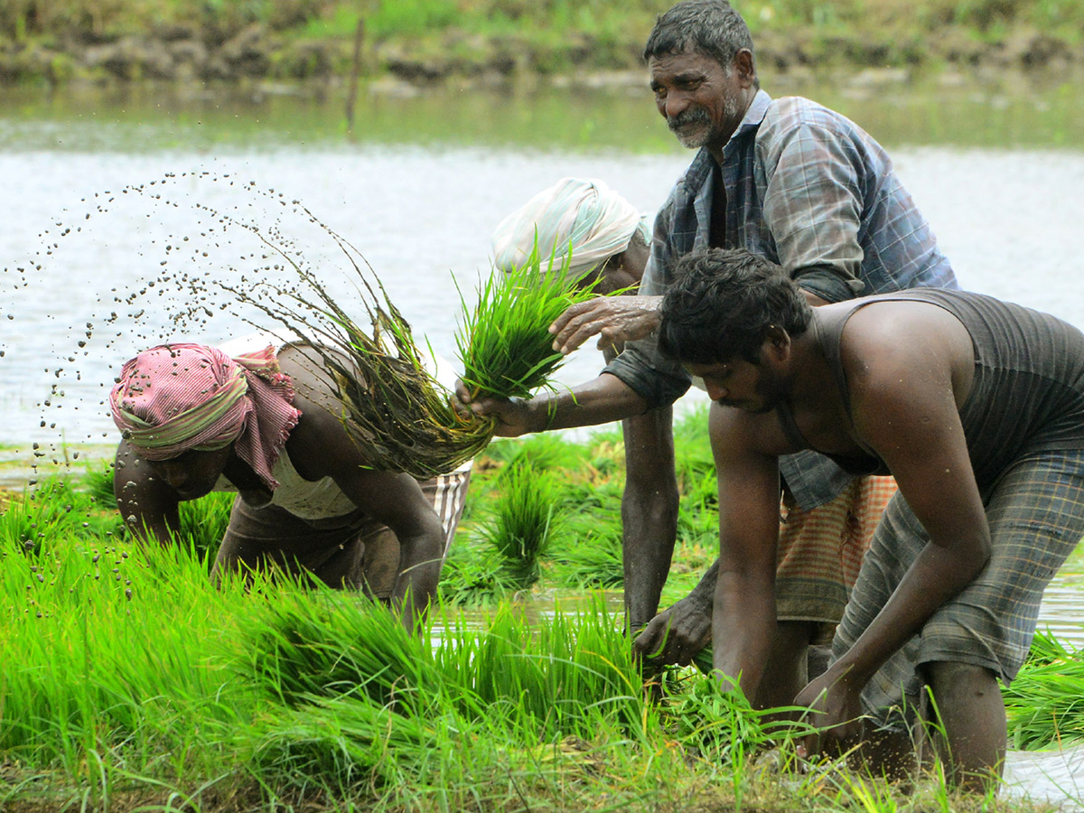 Best Photos of The Week in AP and Telangana Photo Gallery - Sakshi13