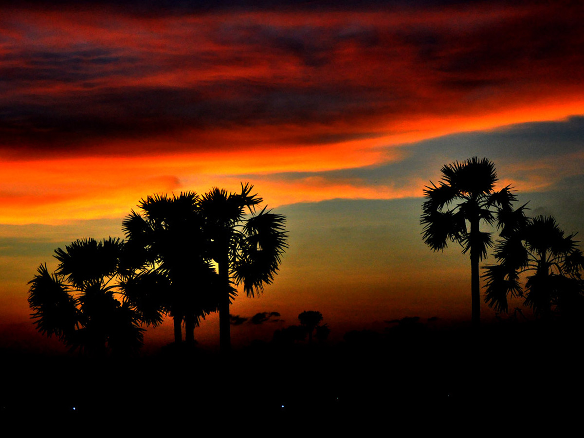 Best Photos of The Week in AP and Telangana Photo Gallery - Sakshi18