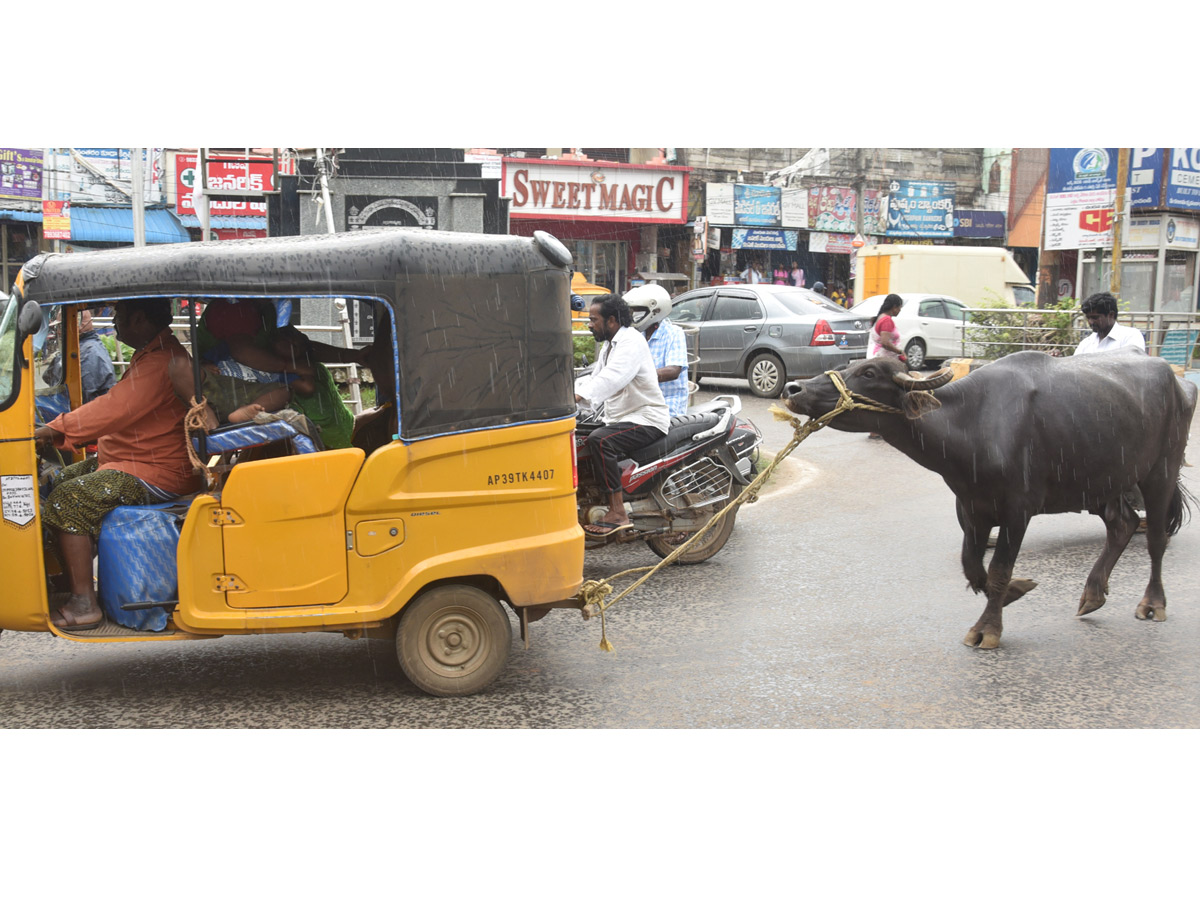 Best Photos of The Week in AP and Telangana Photo Gallery - Sakshi25