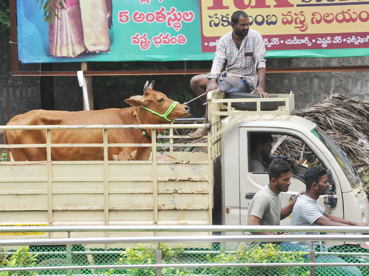 Best Photos of The Week in AP and Telangana Photo Gallery - Sakshi27