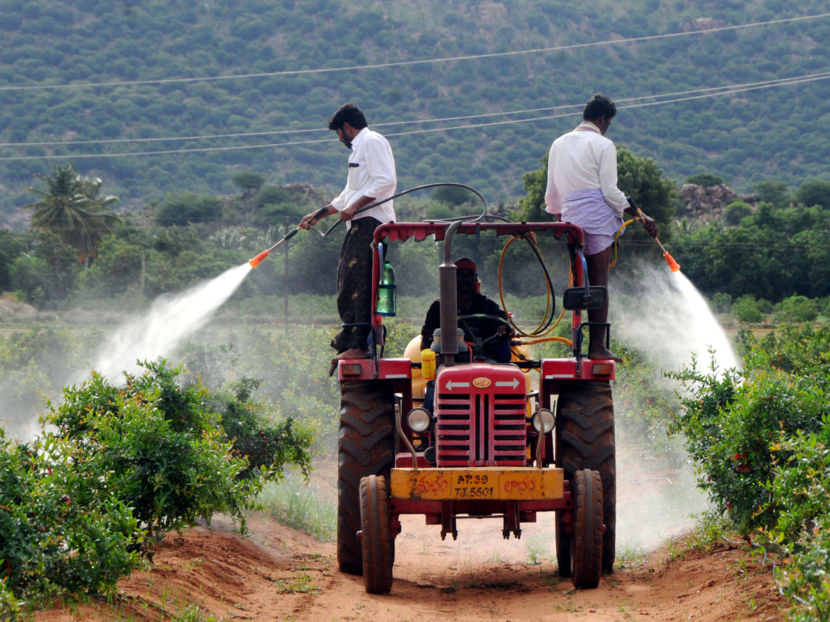 Best Photos of The Week in AP and Telangana Photo Gallery - Sakshi5