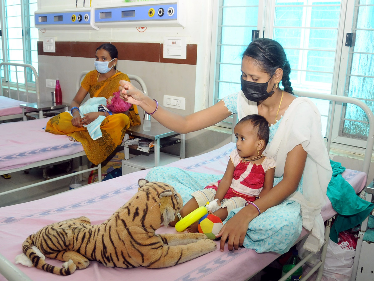 Best Photos of The Week in AP and Telangana Photo Gallery - Sakshi40