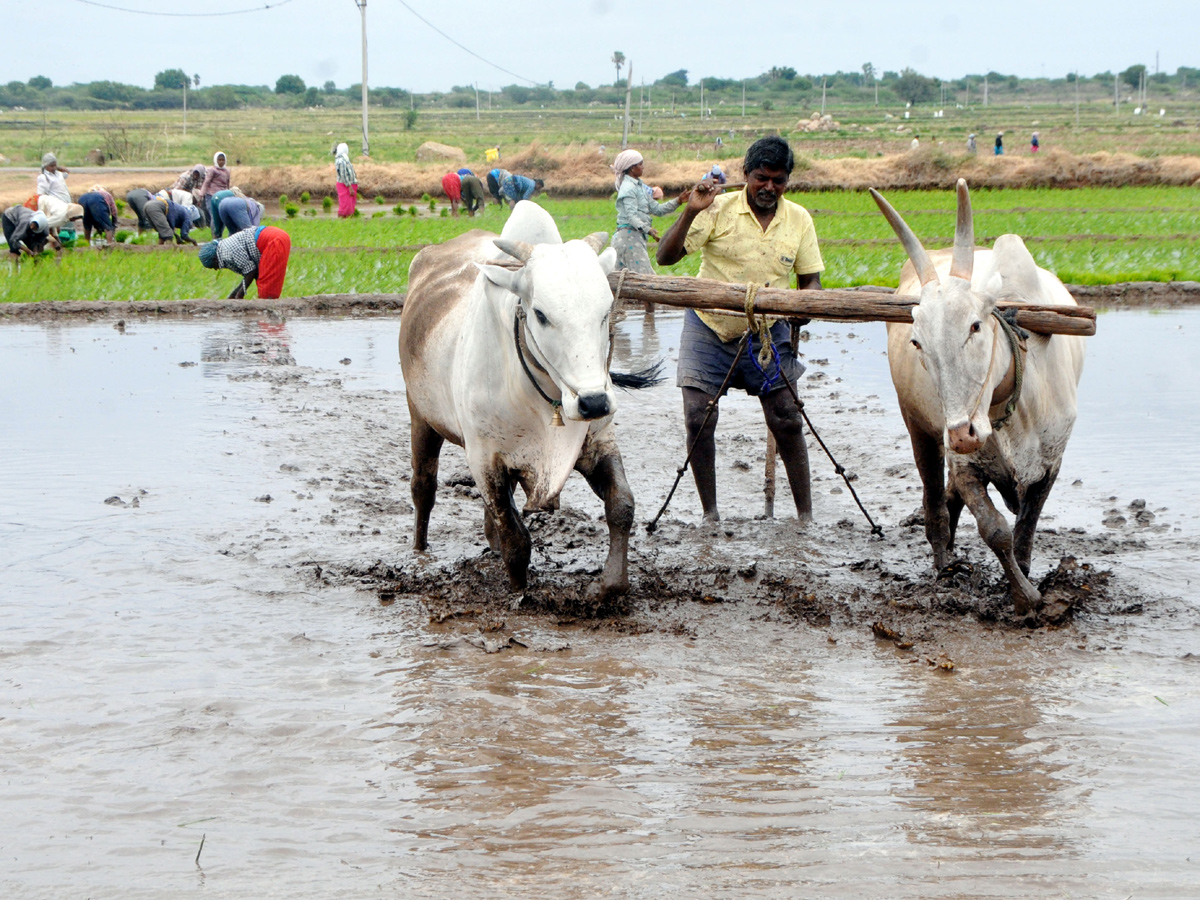 Best Photos of The Week in AP and Telangana Photo Gallery - Sakshi6