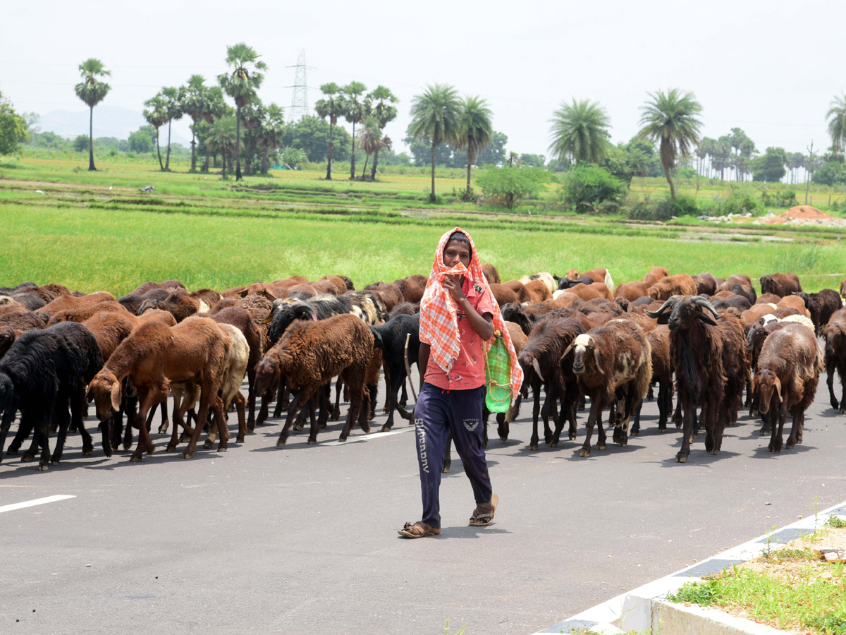 Best Photos of The Week in AP and Telangana Photo Gallery - Sakshi49