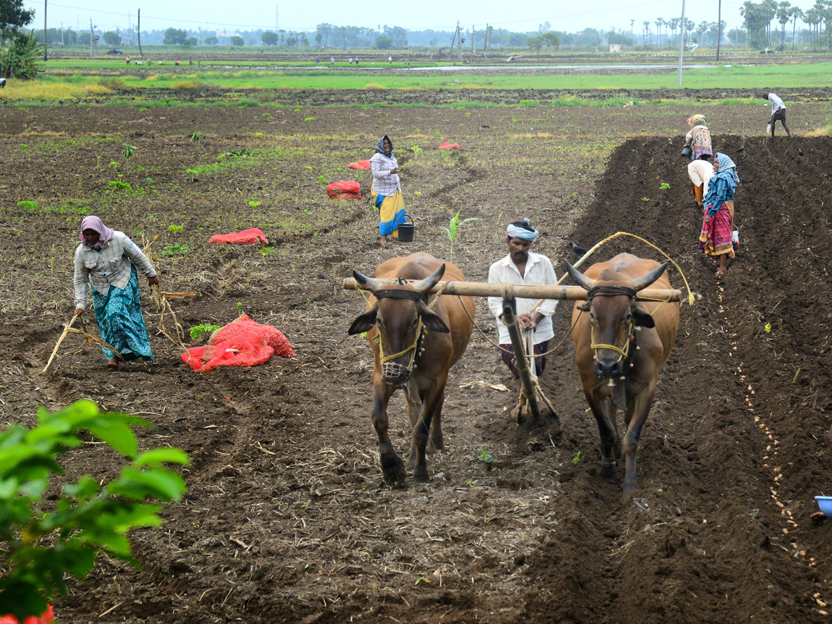 Best Photos of The Week in AP and Telangana Photo Gallery - Sakshi9