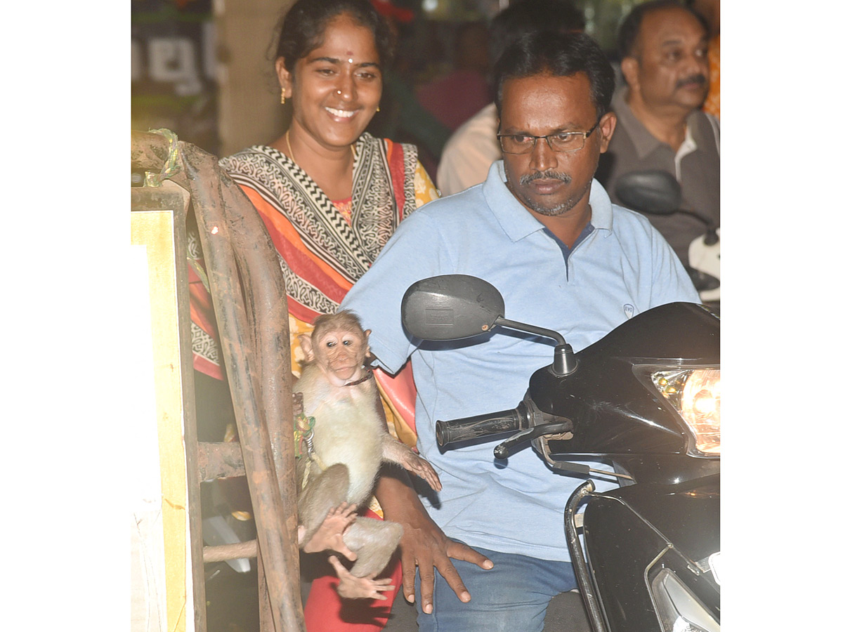 Best Photos of The Week in AP and Telangana Photo Gallery - Sakshi50