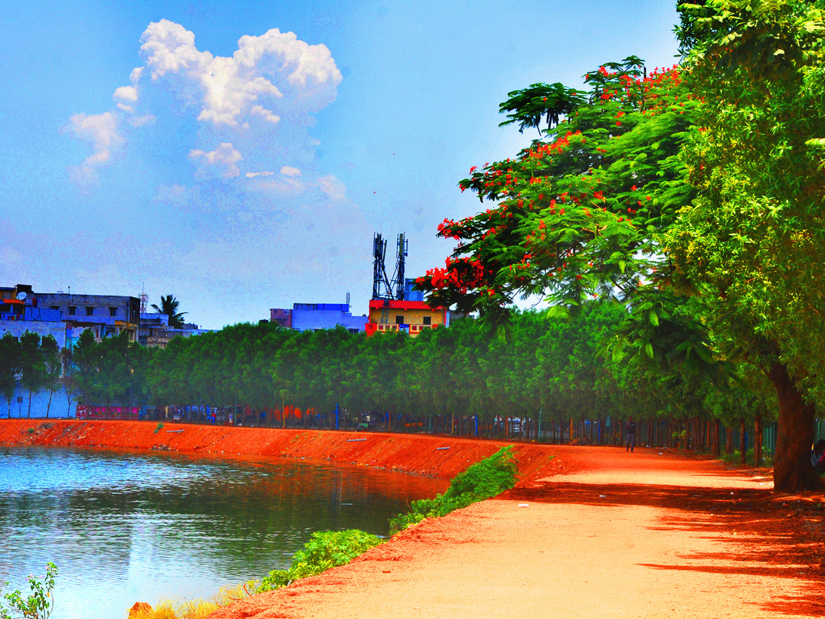 Best Photos of The Week in AP and Telangana Photo Gallery - Sakshi65