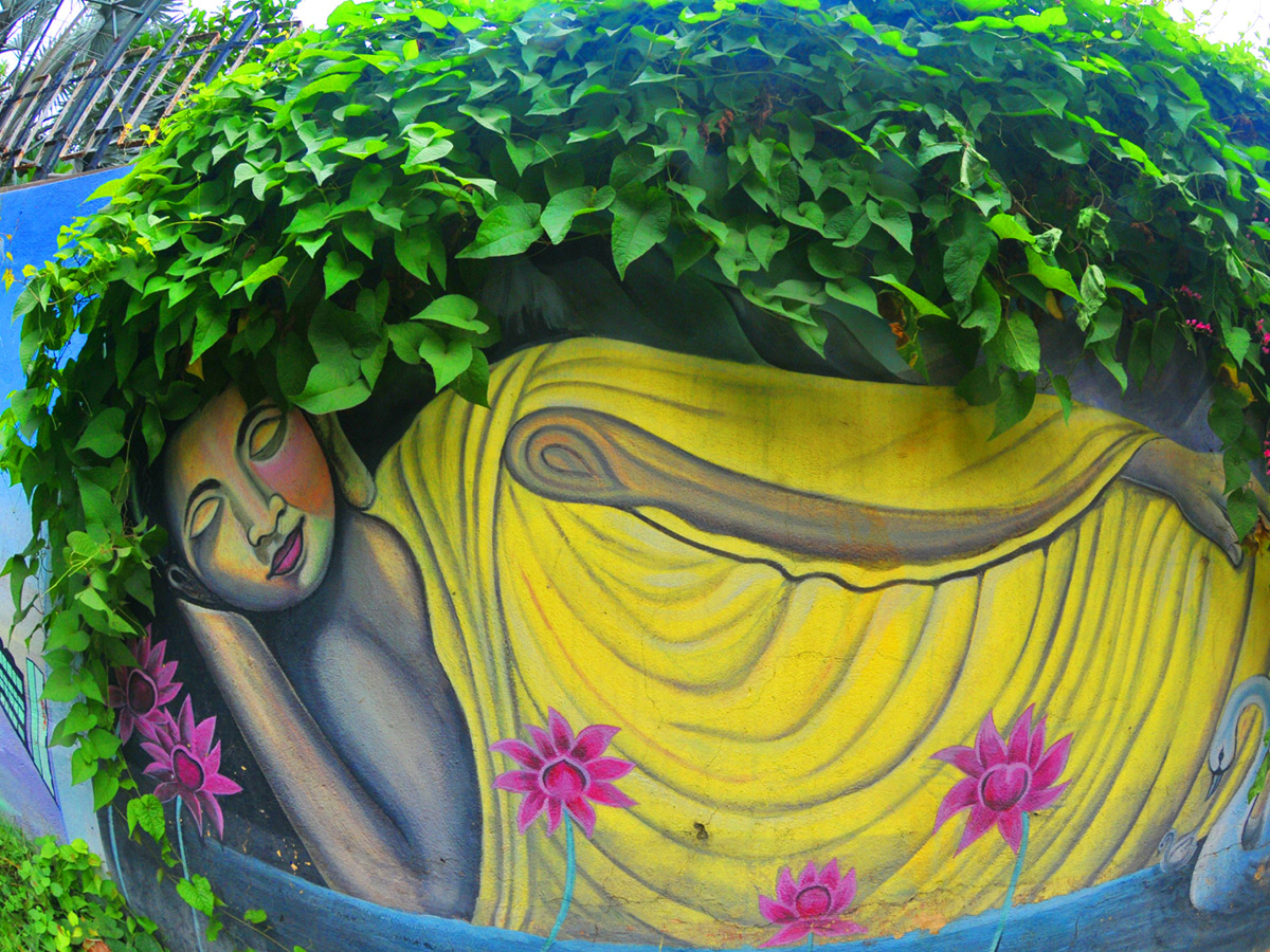 Best Photos of The Week in AP and Telangana Photo Gallery - Sakshi67