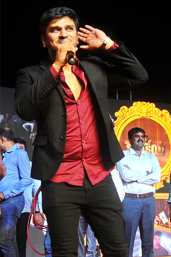 karthikeya 2 Movie success meet In Kurnool - Sakshi14
