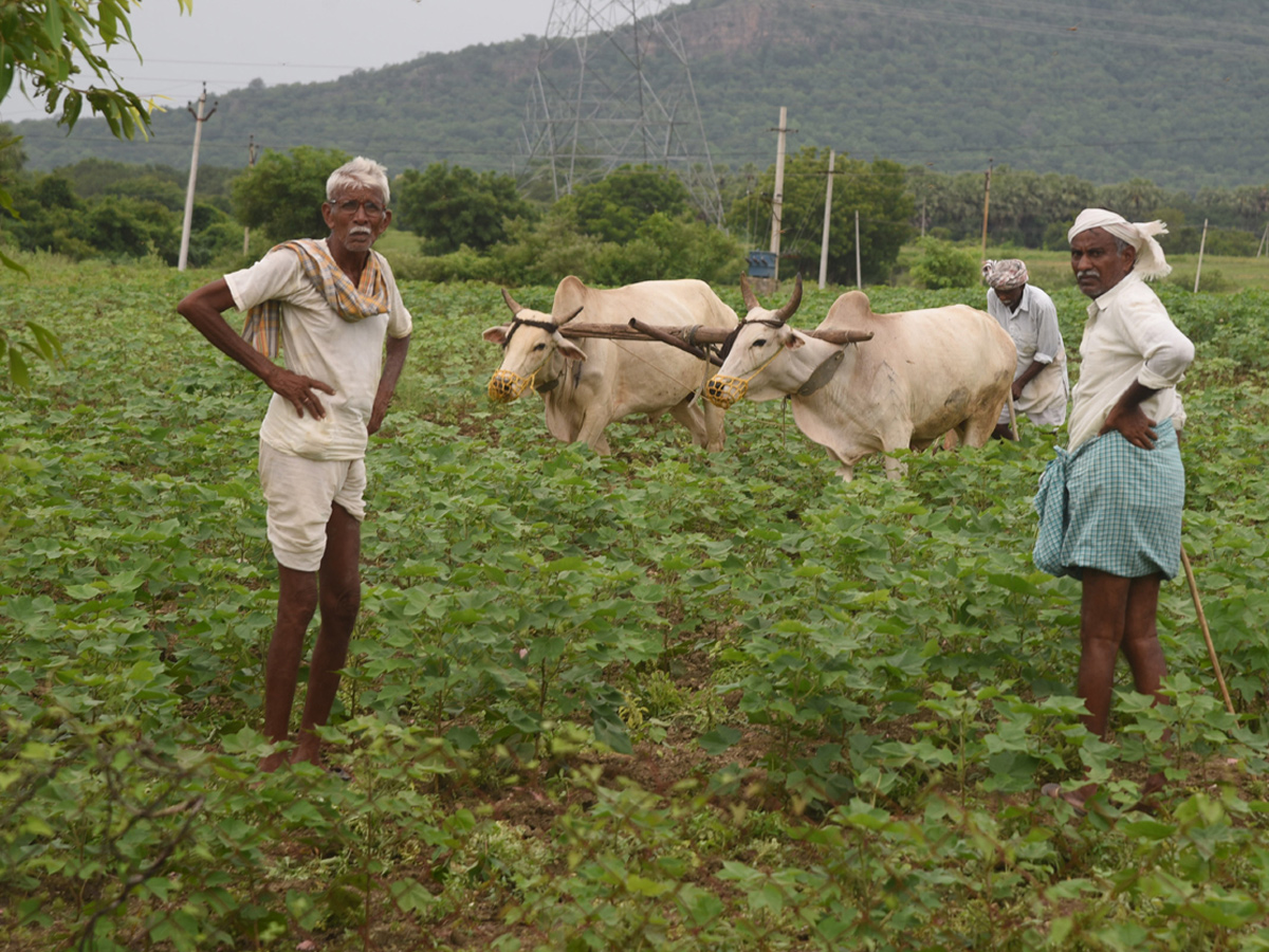 Best Photos of The Week in AP and Telangana Photo Gallery - Sakshi17