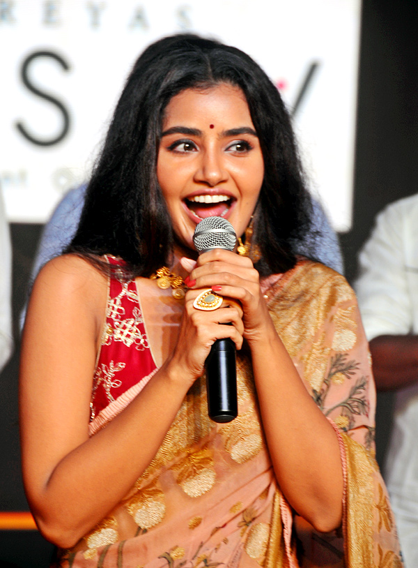 karthikeya 2 Movie success meet In Kurnool - Sakshi21
