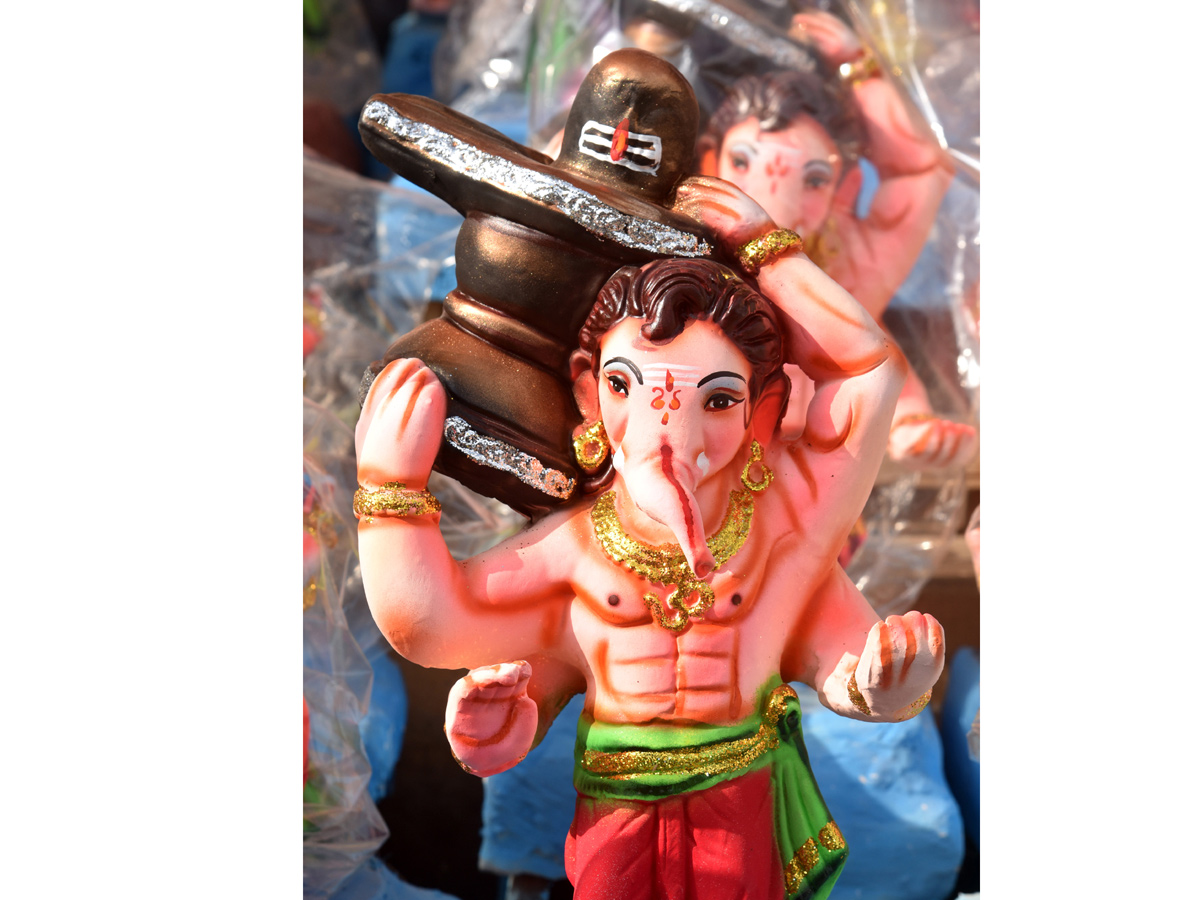 Best Photos of The Week in AP and Telangana Photo Gallery - Sakshi34