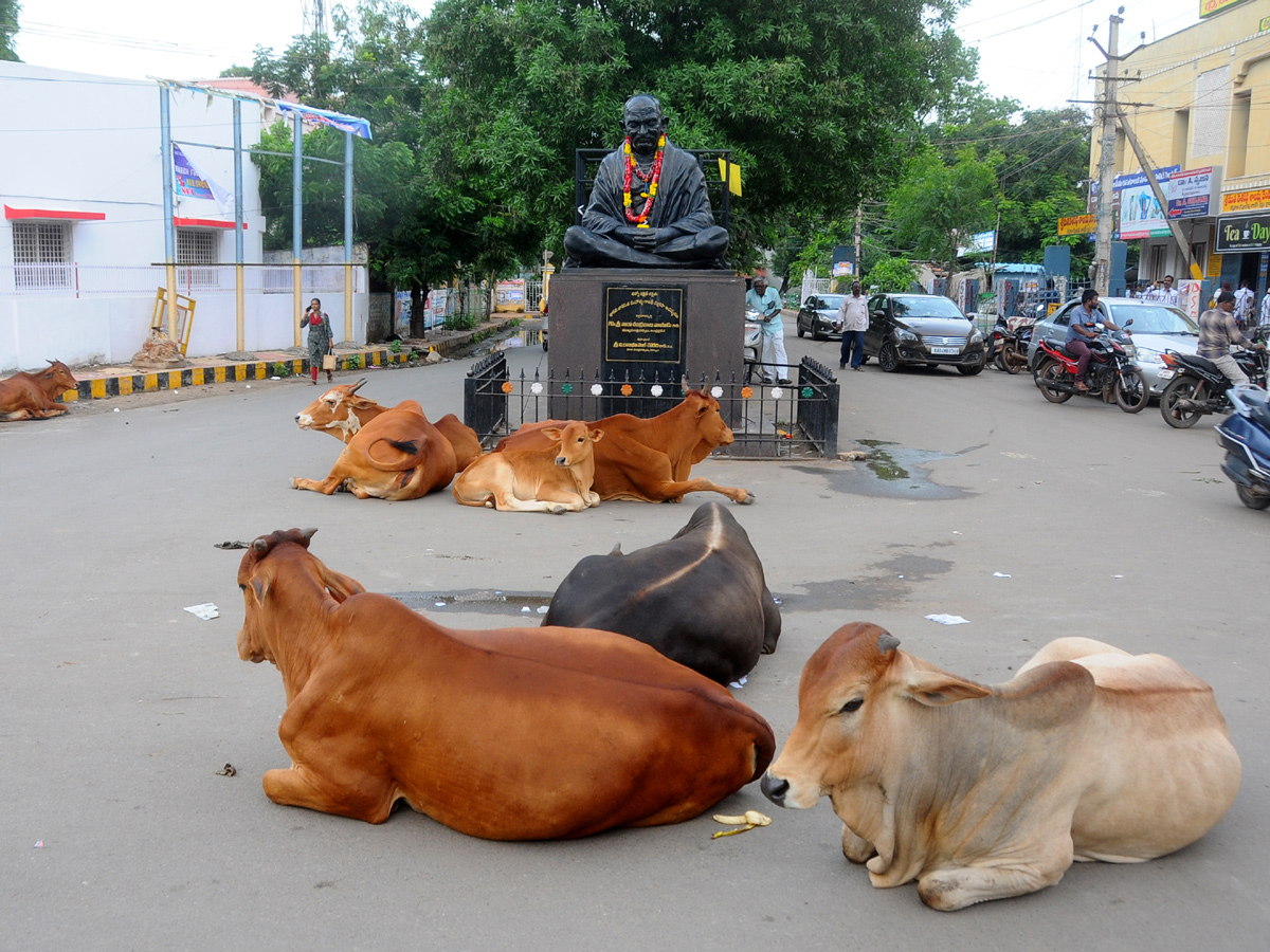 Best Photos of The Week in AP and Telangana Photo Gallery - Sakshi6