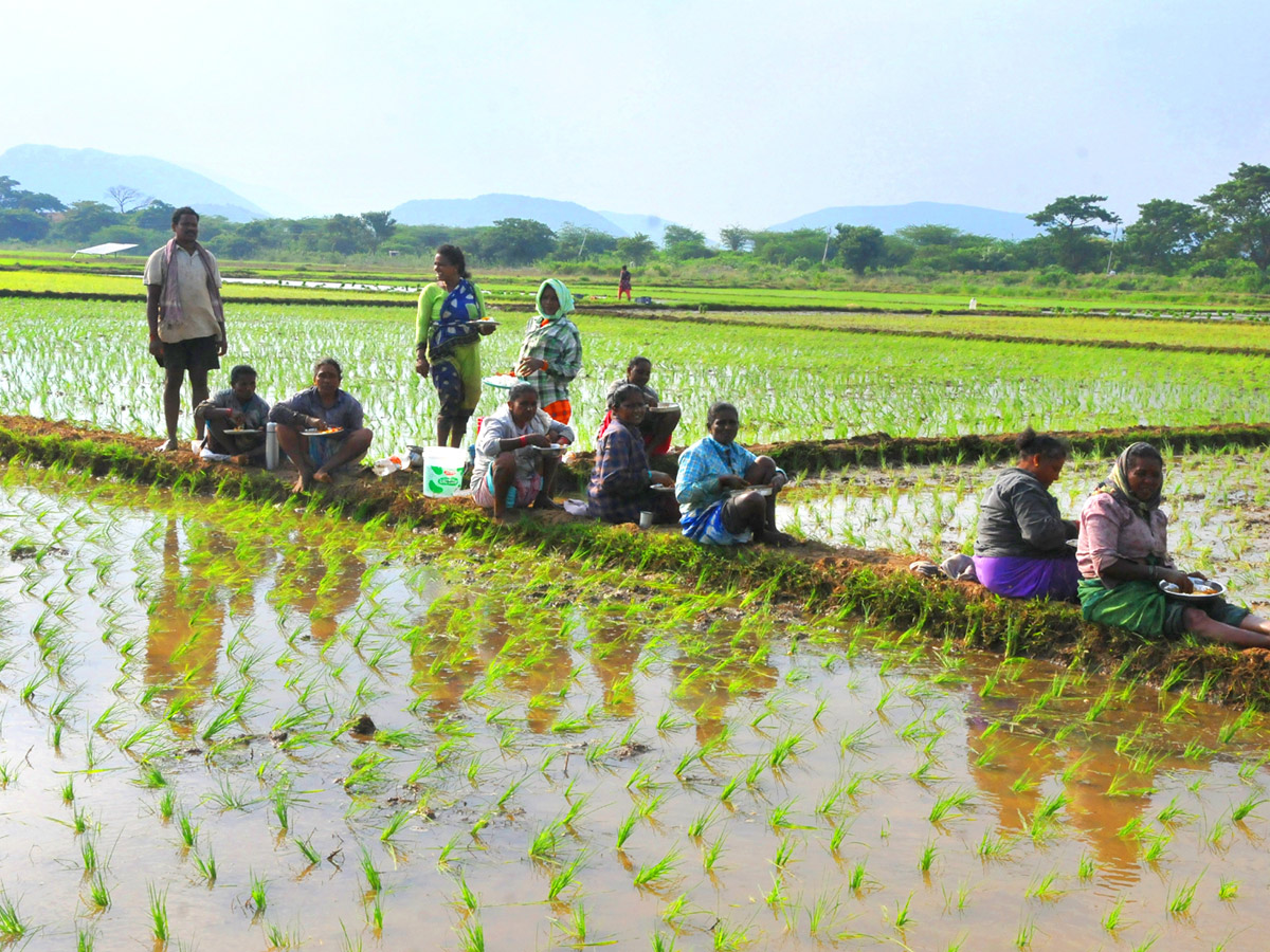 Best Photos of The Week in AP and Telangana Photo Gallery - Sakshi57