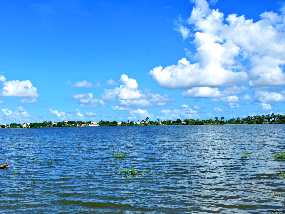 Best Photos of The Week in AP and Telangana Photo Gallery - Sakshi2
