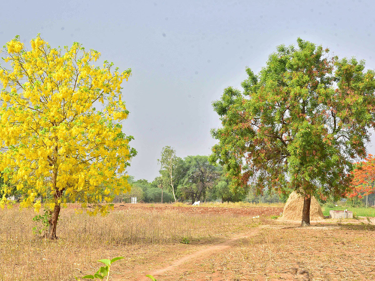 Best Photos of The Week in AP and Telangana Photo Gallery - Sakshi12