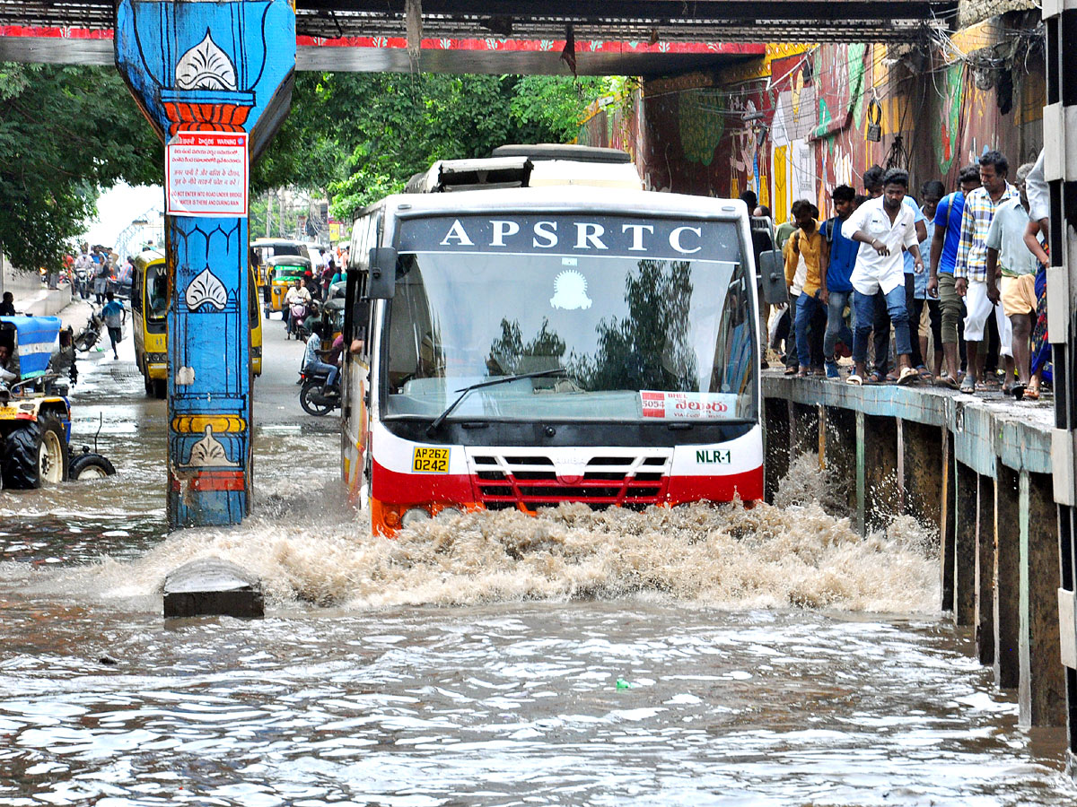 Best Photos of The Week in AP and Telangana Photo Gallery - Sakshi3