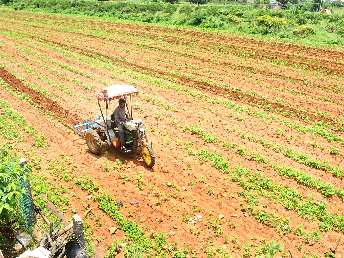 Best Photos of The Week in AP and Telangana Photo Gallery - Sakshi30