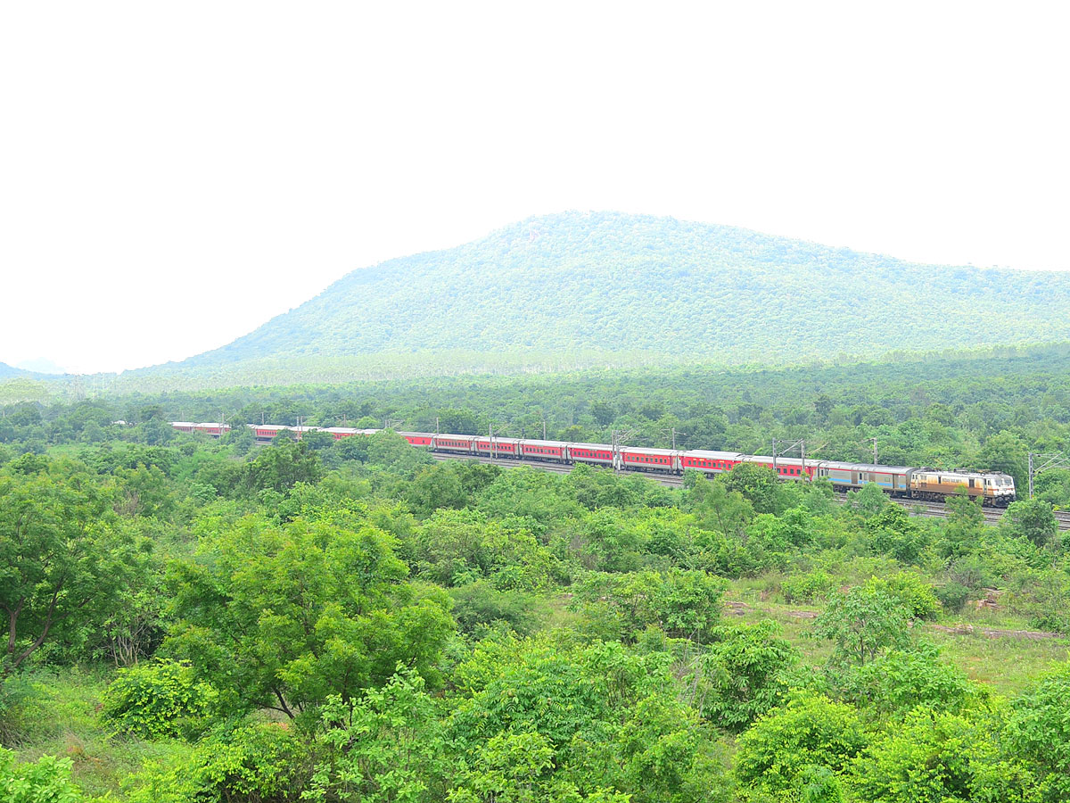 Best Photos of The Week in AP and Telangana Photo Gallery - Sakshi40