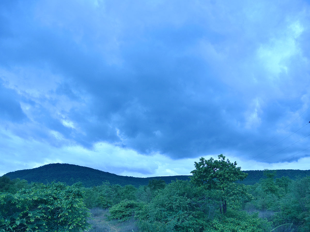 Best Photos of The Week in AP and Telangana Photo Gallery - Sakshi41