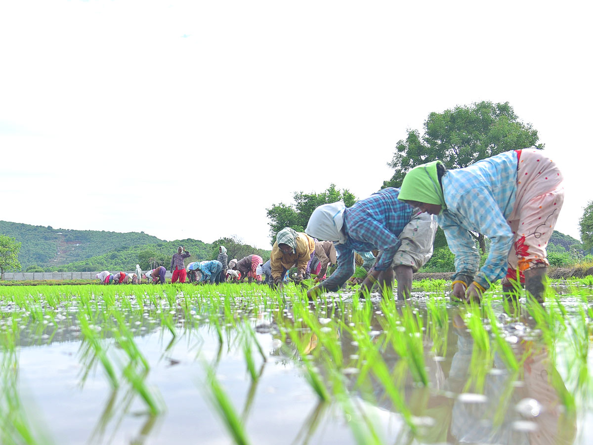 Best Photos of The Week in AP and Telangana Photo Gallery - Sakshi42