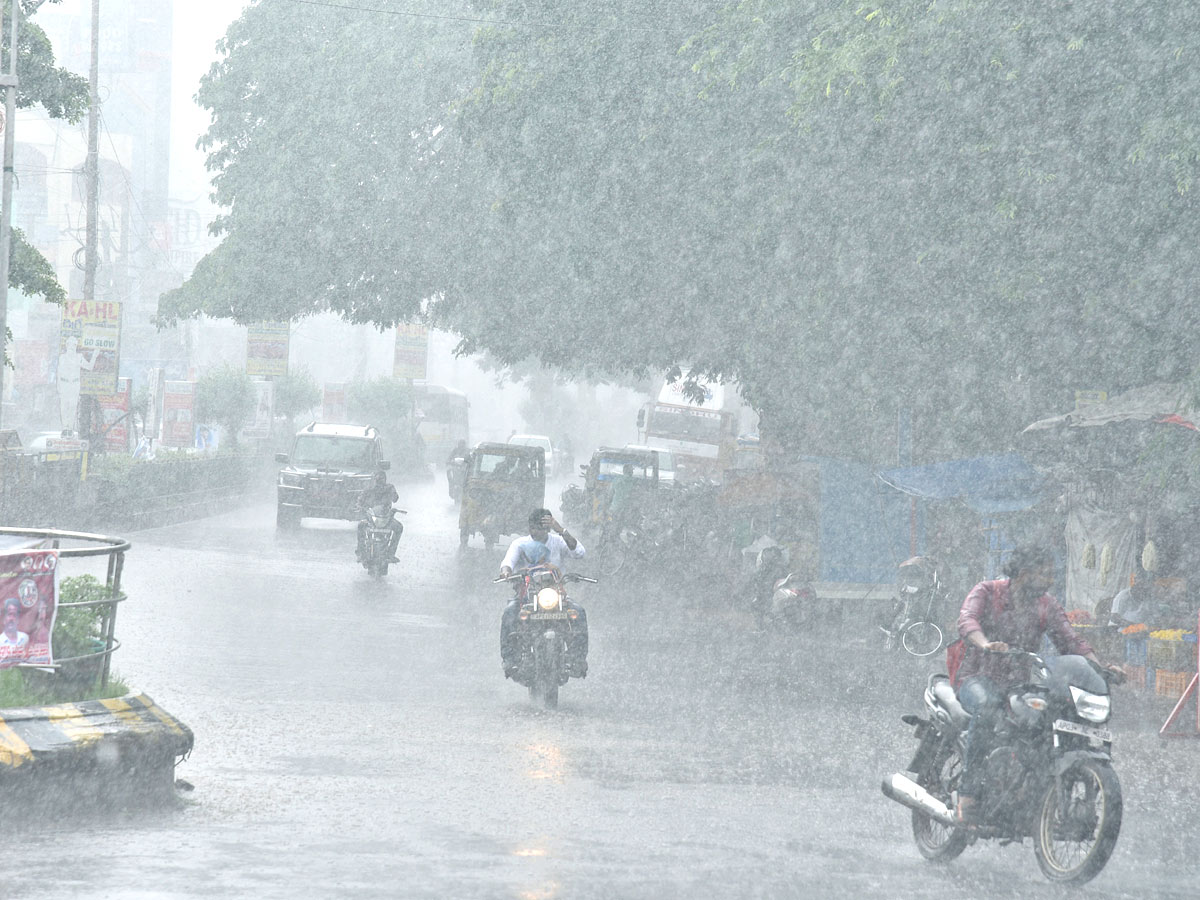 Best Photos of The Week in AP and Telangana Photo Gallery - Sakshi47