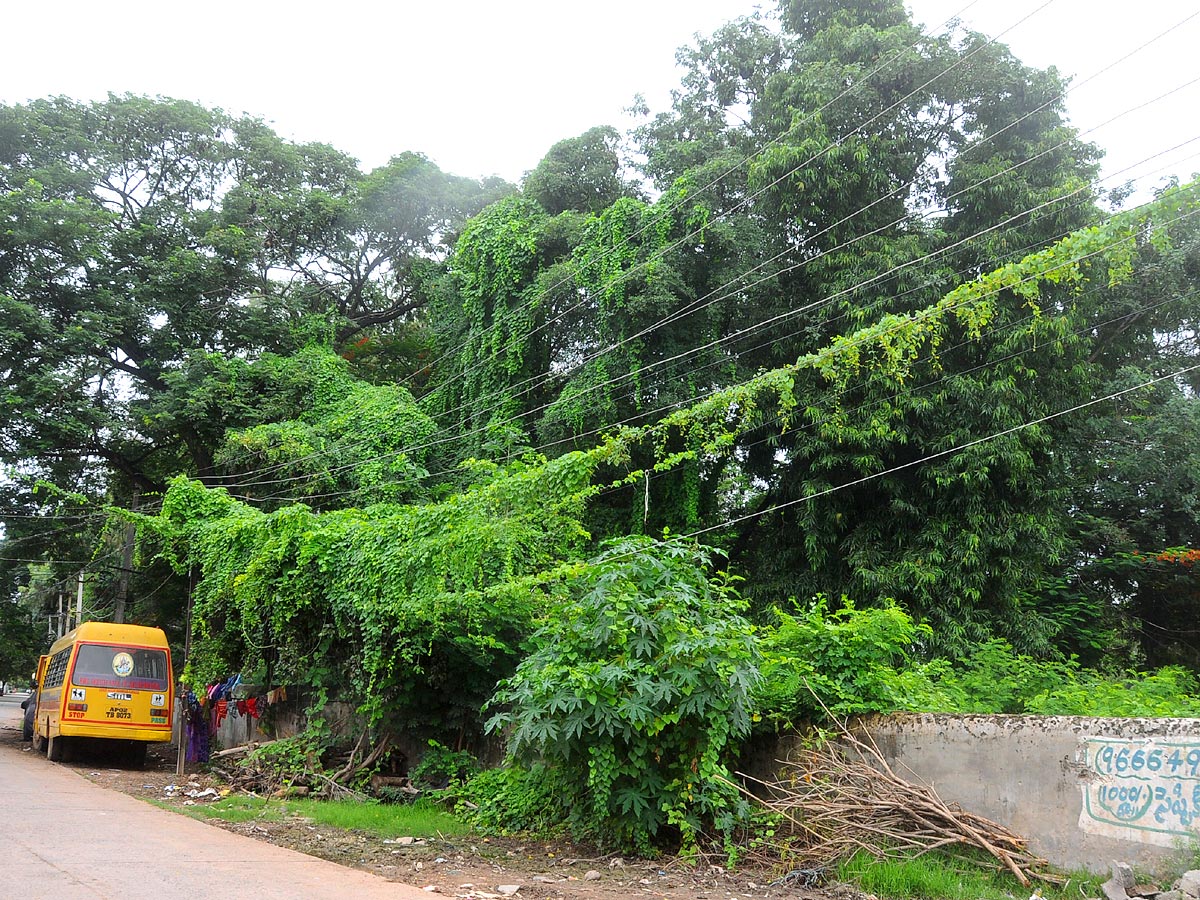 Best Photos of The Week in AP and Telangana Photo Gallery - Sakshi63