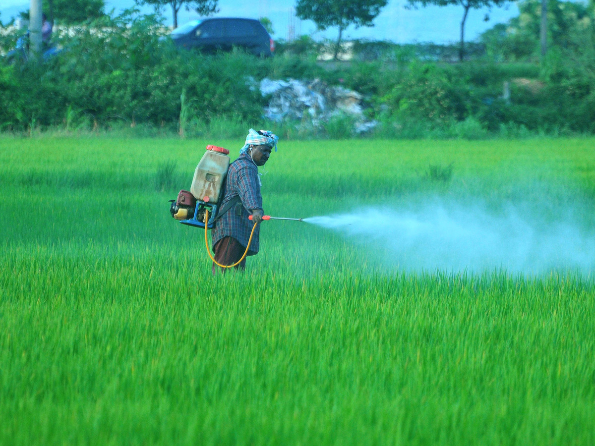 Best Photos of The Week in AP and Telangana Photo Gallery - Sakshi30